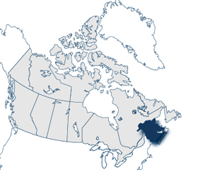 New Brunswick Skilled Worker with Employer Support