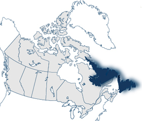 Newfoundland and Labrador International Graduate