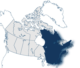 Quebec Skilled Worker Program